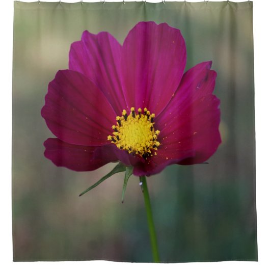 De Perfecte Bloem van de zuster Douchegordijn (Voorkant)