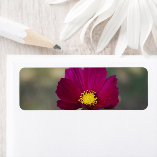 De Perfecte Bloem van de zuster Etiket (Insitu)