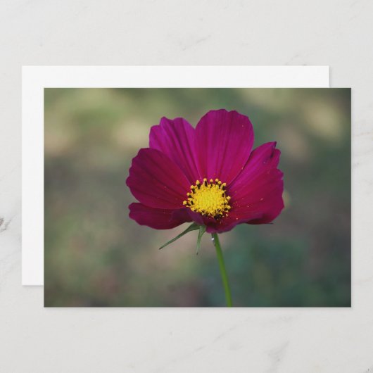 De Perfecte Bloem van de zuster Kaart (Voorkant / Achterkant)