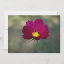 De Perfecte Bloem van de zuster Kaart