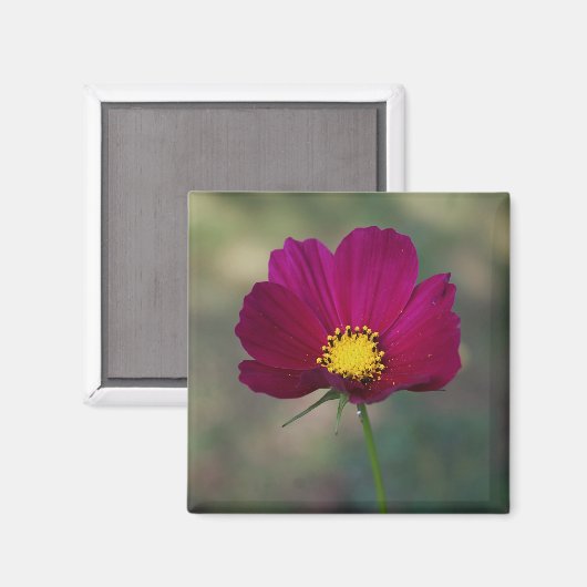 De Perfecte Bloem van de zuster Magneet (Voorkant / Achterkant)