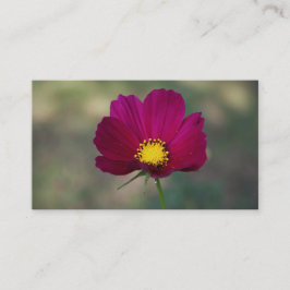 De Perfecte Bloem van de zuster Visitekaartje