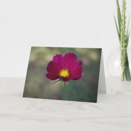 De perfecte bloem van mijn zus kaart