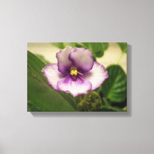 De perfecte dag Lily op Canvas Afdruk (Voorkant)