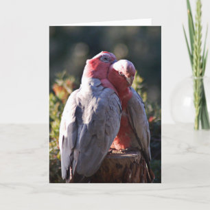 De perfecte dag - Valentijn Feestdagen Kaart