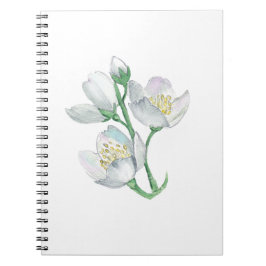 De perfecte metgezel: beste Notitieboek voor elke