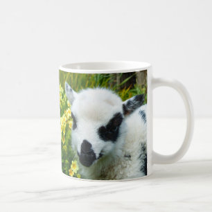 De perfecte Mok van Lambie