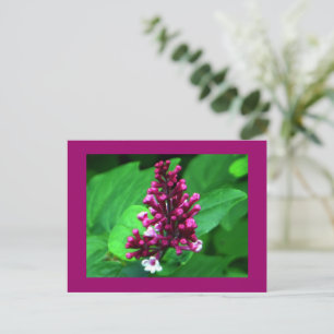 De perfecte Paarse Wildflower Briefkaart