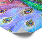 De perfecte pacock. poster (Hoek)