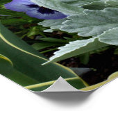 De perfecte passie poster (Hoek)