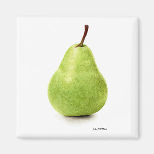 De perfecte peer magneet