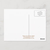 De perfecte reis Alaska Briefkaart (Achterkant)