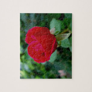 De perfecte Roos puzzel