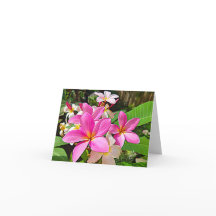 De perfecte Roze Kaarten van de Nota Plumeria