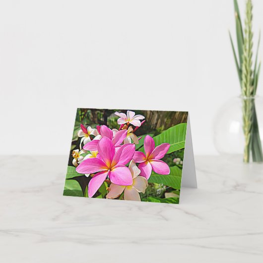 De perfecte Roze Kaarten van de Nota Plumeria (Voorkant)