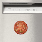 De perfecte Slice Tomato Magneet (Insitu (Vaatwasser))