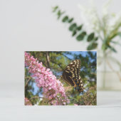 De perfecte vlinder! briefkaart (Staand voorkant)