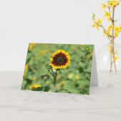 De perfecte zonnebloem - gelukkig Wenskaart Kaart (Gele Bloem)