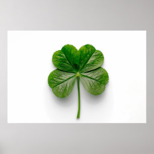 De perfectie van de natuur: de symmetrie van een b poster