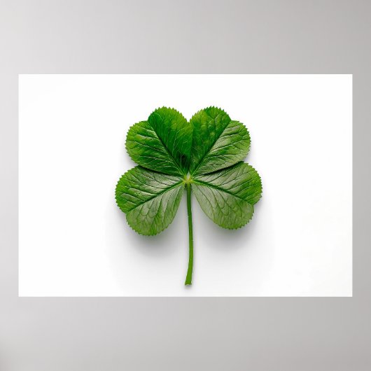 De perfectie van de natuur: de symmetrie van een b poster (Voorkant)