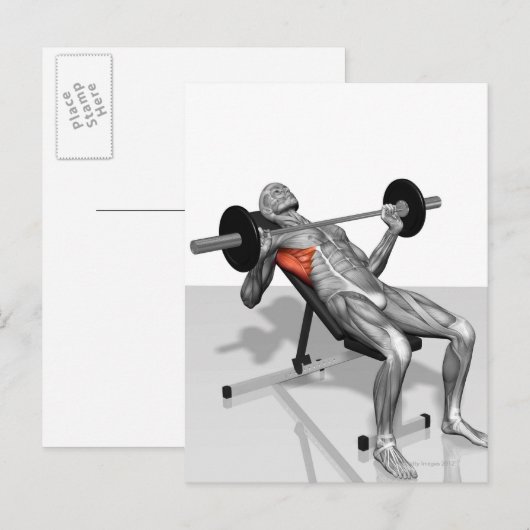 De Pers 2 van de Bench van de inline Briefkaart (Voorkant / Achterkant)