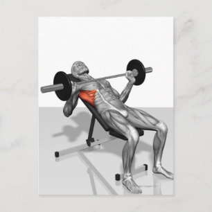 De Pers 2 van de Bench van de inline Briefkaart