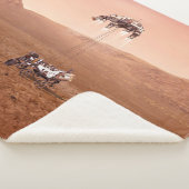 De Perseverance Rover landt veilig op Mars. Sherpa Deken (3/4)