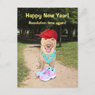 De Personaliseerbare Grappige Resolutie van het Feestdagenkaart