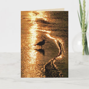 De Personaliseerbare Kaart van de pensionering -