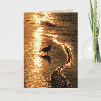 De Personaliseerbare Kaart van de pensionering -