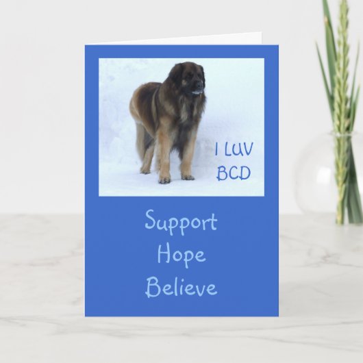 De Personaliseerbare "Steun, Hoop, gelooft" Kaart (Voorkant)