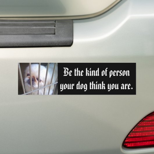 De persoon zijn bumpersticker (Op auto)