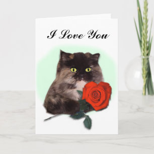 De Perzische kat met Rood nam Kaart toe