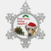 De Pewter Ornament van het Naughty Lab (Voorkant)