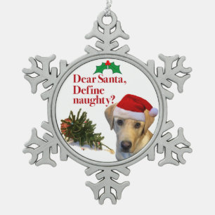 De Pewter Ornament van het Naughty Lab