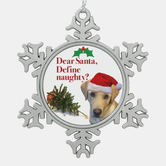 De Pewter Ornament van het Naughty Lab (Voorkant)