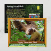 De Pgymy ThreeToed-sleuf is ernstig bedreigd Briefkaart (Voorkant / Achterkant)