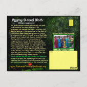 De Pgymy ThreeToed-sleuf is ernstig bedreigd Briefkaart (Achterkant)