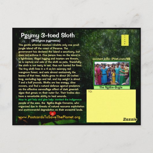 De Pgymy ThreeToed-sleuf is ernstig bedreigd Briefkaart (Achterkant)