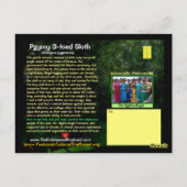 De Pgymy ThreeToed-sleuf is ernstig bedreigd Briefkaart (Achterkant)