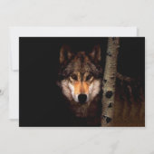 De Phantom Wolf Kaart (Achterkant)