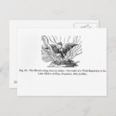 De Phoenix die uit zijn as voortkomt Briefkaart (Voorkant / Achterkant)