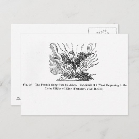 De Phoenix die uit zijn as voortkomt Briefkaart (Voorkant / Achterkant)