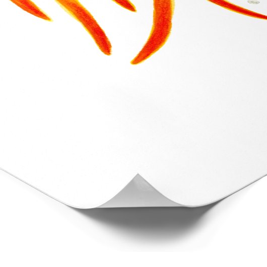 De Phoenix Poster (Hoek)