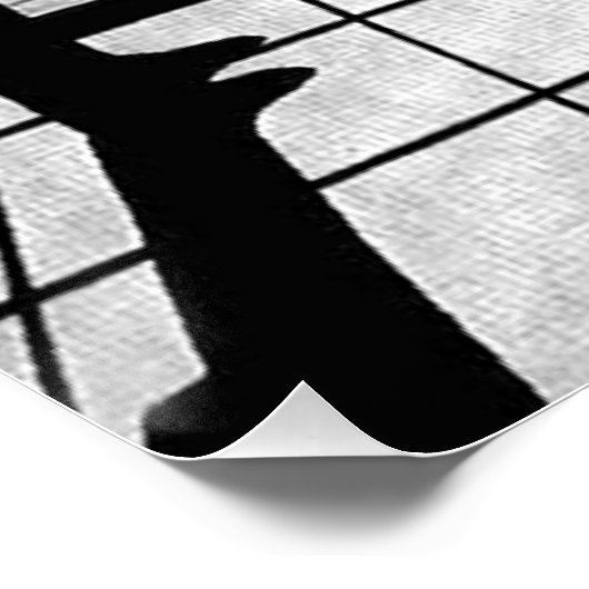 De pianist perfect poster (Hoek)