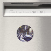 De piano stofzuigen magneet (Insitu (Vaatwasser))