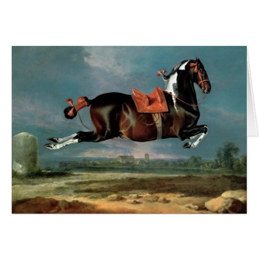 De Piebald Piebald Horse "Ceheld-opfok" (Voorkant Horizontaal)