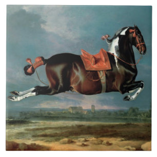 De Piebald Piebald Horse "Ceheld-opfok" Tegeltje