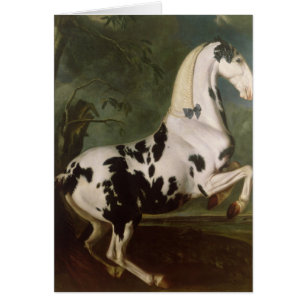 De Piebald Stallion van de Eisgruber-studie