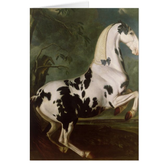 De Piebald Stallion van de Eisgruber-studie (Voorkant)
